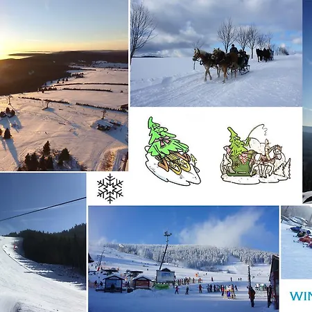 Hotel Erlebnishotel & Restaurant Fichtenhaeusel Am Poehlagrund 3*