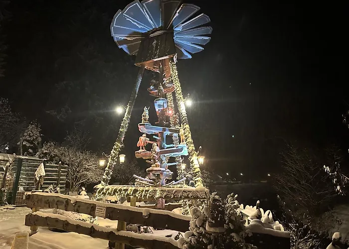 酒店 Erlebnishotel & Restaurant Fichtenhaeusel Am Poehlagrund 3*